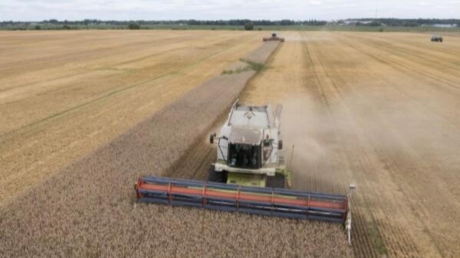 De EU gaat akkoord met strengere beperkingen op de invoer van landbouwproducten uit Oekraïne