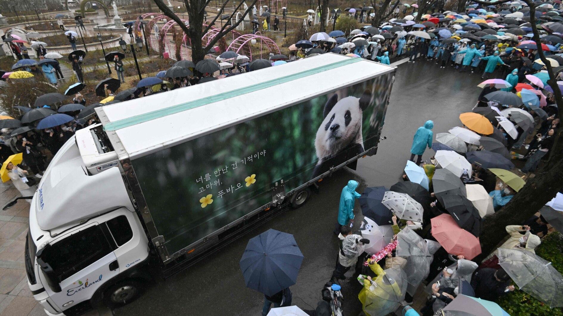 S-Koreaanse fans nemen afscheid van de internetberoemde panda Fu Bao