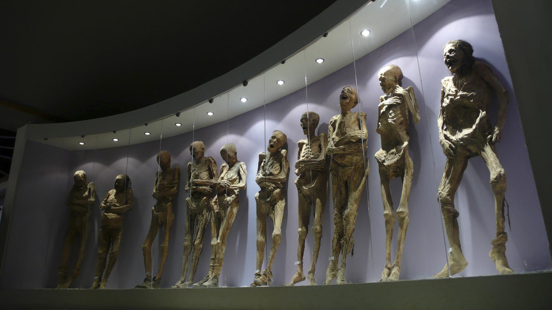 19e-eeuwse mummie verkeerd behandeld door museumpersoneel