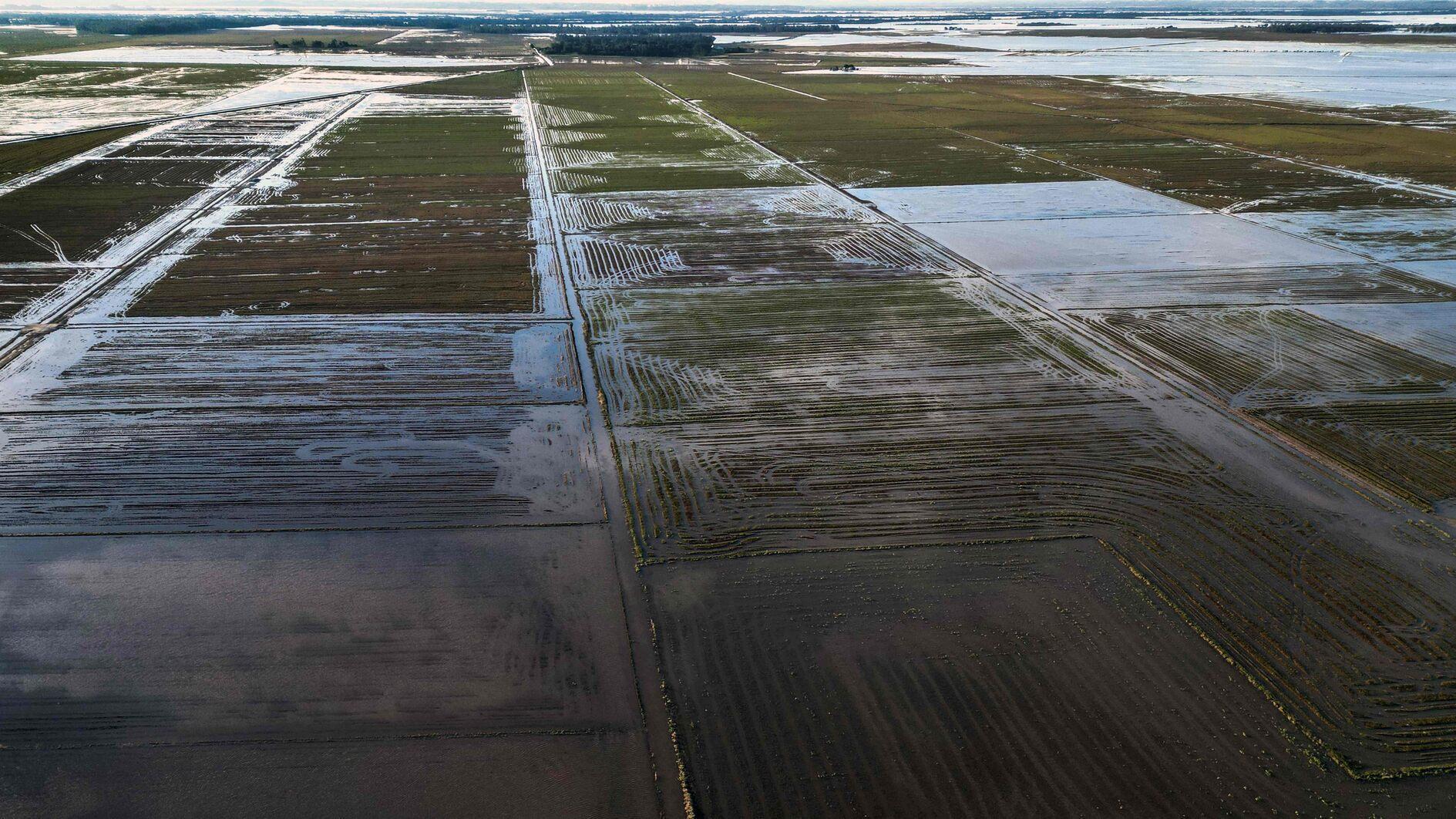 Brazilië verlaagt rijsttarieven nadat overstromingen het landbouwgebied hebben getroffen