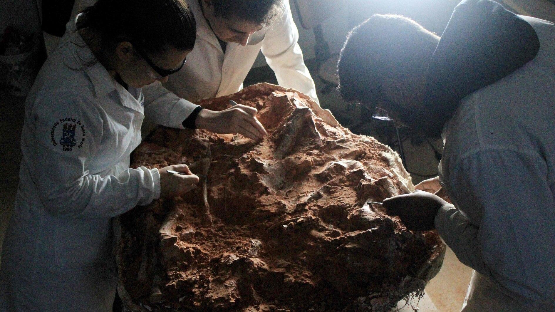 ‘Goed bewaard gebleven’ dinosaurusfossiel ontdekt door Braziliaanse overstroming